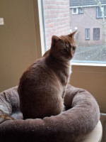 /album/198/whatsapp-image-2026-02-23-at-21-24-17-jpeg/